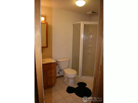 1025 Basalt Ct, Windsor, CO 80550 photo 16