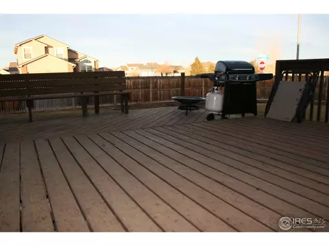 1025 Basalt Ct, Windsor, CO 80550 photo 19