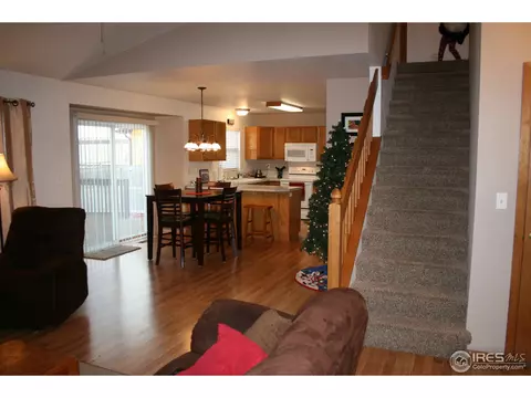 1025 Basalt Ct, Windsor, CO 80550 photo 4