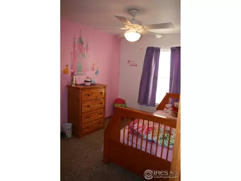 1025 Basalt Ct, Windsor, CO 80550 photo 9