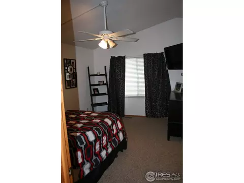 1025 Basalt Ct, Windsor, CO 80550 photo 11