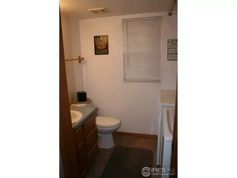 1025 Basalt Ct, Windsor, CO 80550 photo 7