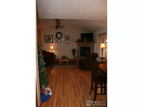 1025 Basalt Ct, Windsor, CO 80550 photo 5