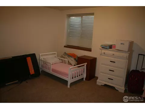 1025 Basalt Ct, Windsor, CO 80550 photo 14