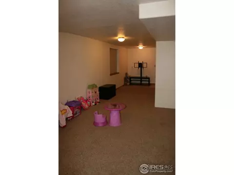 1025 Basalt Ct, Windsor, CO 80550 photo 15