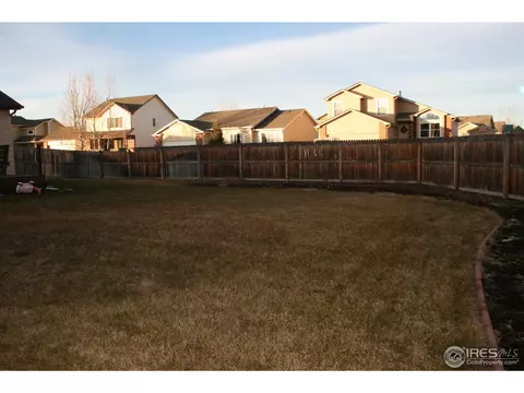 1025 Basalt Ct, Windsor, CO 80550 photo 17