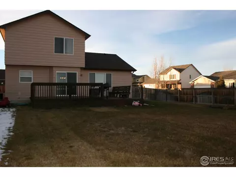1025 Basalt Ct, Windsor, CO 80550 photo 18