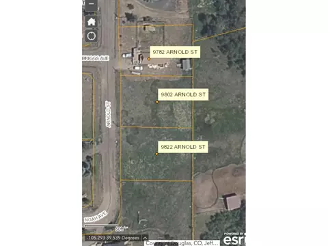 9802 Arnold St, Conifer, CO 80433 photo 18