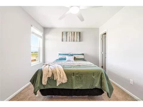 Bedroom - 7253 Shavano Ave, Longmont, CO 80504 photo 3 of 6