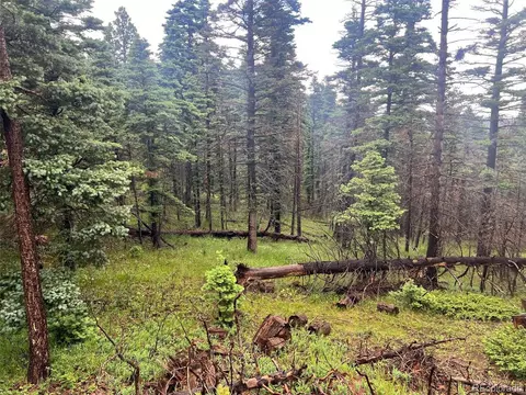 County Rd 406, Cuchara, CO 81055 photo 2