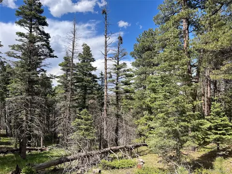 County Rd 406, Cuchara, CO 81055 photo 7