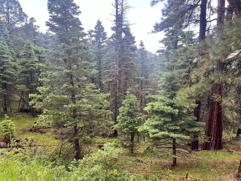 County Rd 406, Cuchara, CO 81055 photo 3