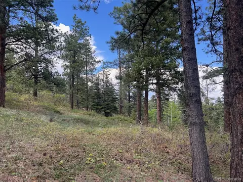 County Rd 406, Cuchara, CO 81055 photo 5