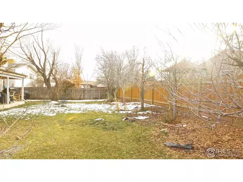 1815 E 98th Ave, Thornton, CO 80229 photo 24
