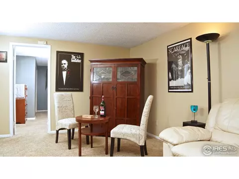 1815 E 98th Ave, Thornton, CO 80229 photo 5