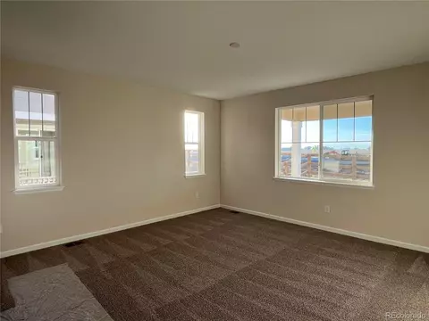 966 Rustling St, Windsor, CO 80550 photo 9