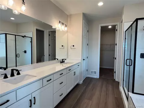 966 Rustling St, Windsor, CO 80550 photo 11