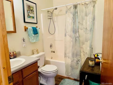 Bath - 162 Cedar Ridge Rd, Mosca, CO 81146 photo 1 of 2
