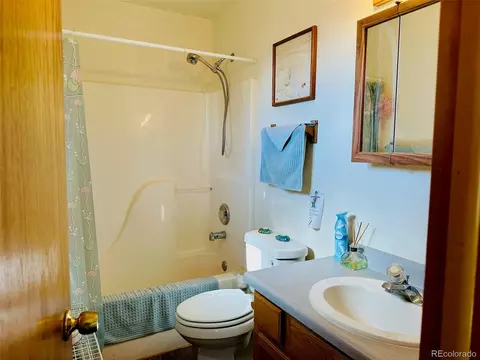 Bath - 162 Cedar Ridge Rd, Mosca, CO 81146 photo 2 of 2