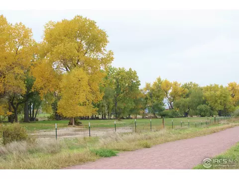 609 Jackson St, Lafayette, CO 80026 photo 5