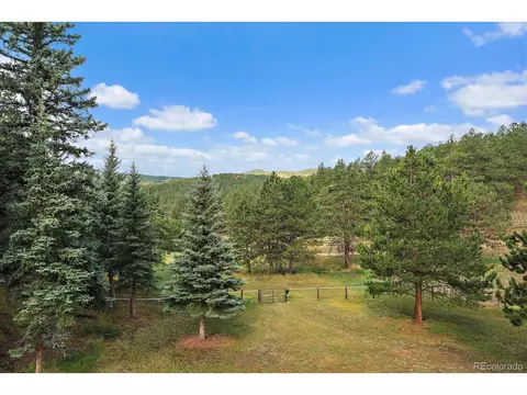 Undisclosed, Pine, CO 80470 photo 37
