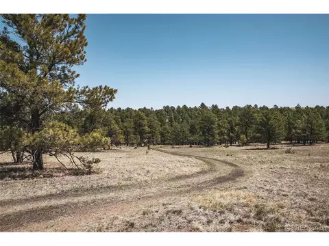 24290 Evergreen Trl, Agate, CO 80101 photo 5