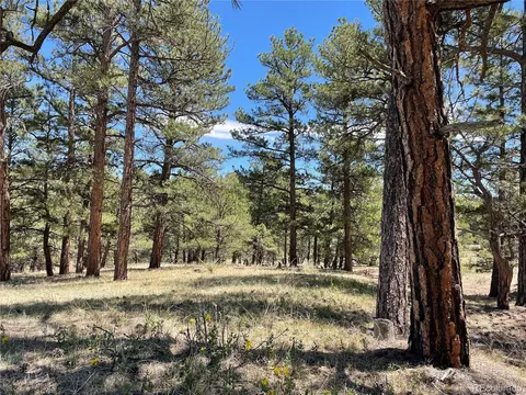 24290 Evergreen Trl, Agate, CO 80101 photo 27