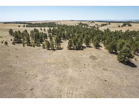 24290 Evergreen Trl, Agate, CO 80101 photo 29
