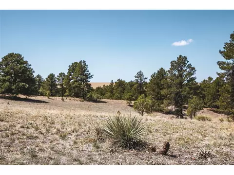 24290 Evergreen Trl, Agate, CO 80101 photo 9