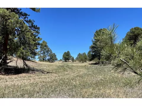 24290 Evergreen Trl, Agate, CO 80101 photo 2