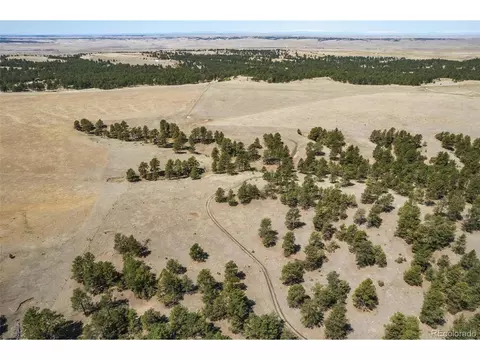 24290 Evergreen Trl, Agate, CO 80101 photo 35