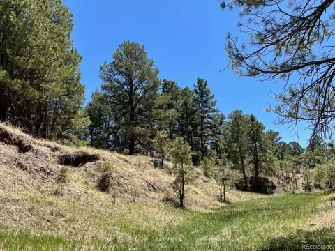 24290 Evergreen Trl, Agate, CO 80101 photo 3