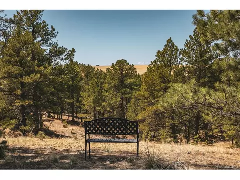24290 Evergreen Trl, Agate, CO 80101 photo 1