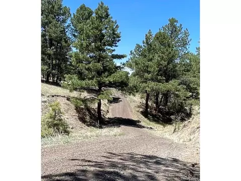 24290 Evergreen Trl, Agate, CO 80101 photo 20