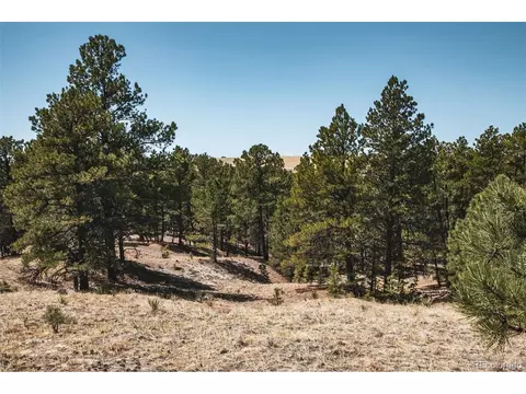24290 Evergreen Trl, Agate, CO 80101 photo 19