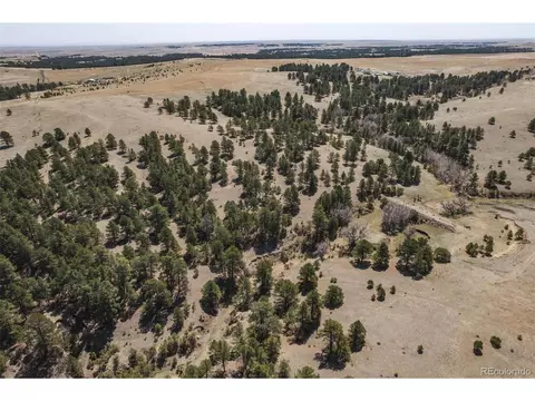 24290 Evergreen Trl, Agate, CO 80101 photo 37