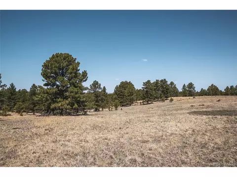 24290 Evergreen Trl, Agate, CO 80101 photo 22