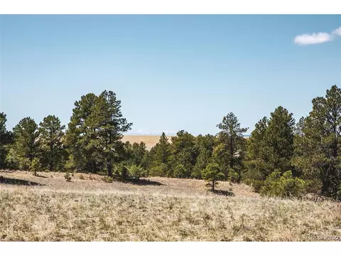 24290 Evergreen Trl, Agate, CO 80101 photo 7