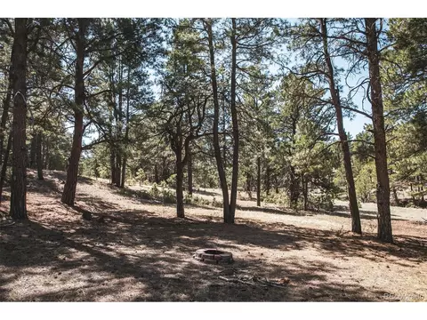 24290 Evergreen Trl, Agate, CO 80101 photo 18