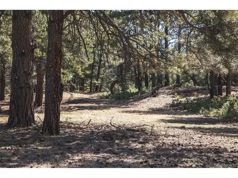 24290 Evergreen Trl, Agate, CO 80101 photo 10