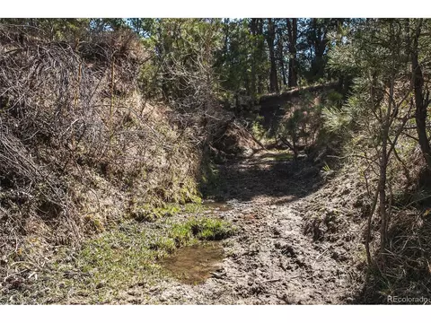 24290 Evergreen Trl, Agate, CO 80101 photo 13