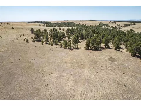 24290 Evergreen Trl, Agate, CO 80101 photo 28