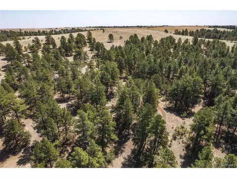 24290 Evergreen Trl, Agate, CO 80101 photo 33