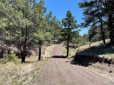 24290 Evergreen Trl, Agate, CO 80101 photo 4