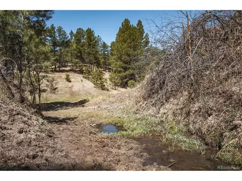 24290 Evergreen Trl, Agate, CO 80101 photo 16