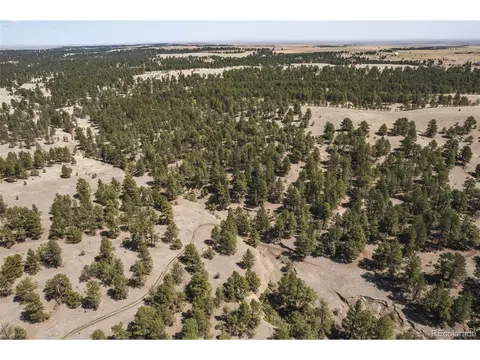 24290 Evergreen Trl, Agate, CO 80101 photo 38