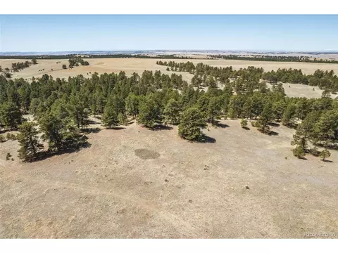 24290 Evergreen Trl, Agate, CO 80101 photo 30