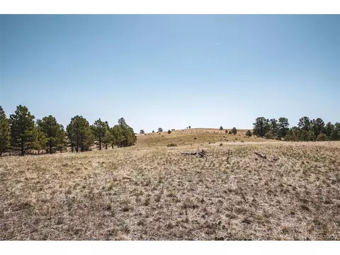 24290 Evergreen Trl, Agate, CO 80101 photo 21