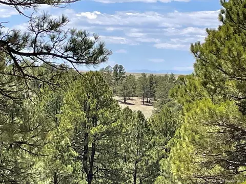24290 Evergreen Trl, Agate, CO 80101 photo 26