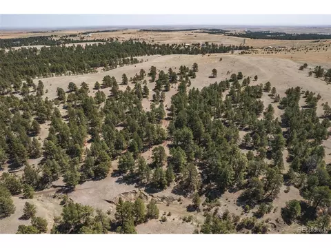 24290 Evergreen Trl, Agate, CO 80101 photo 36